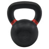 RHINO Fitness® Iron Kettlebell Series 40 lb RHINO Fitness Agility fitness kettlebell physical therapy Resistance Training