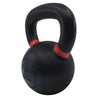 RHINO Fitness® Iron Kettlebell Series 40 lb RHINO Fitness Agility fitness kettlebell physical therapy Resistance Training