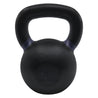 RHINO Fitness® Iron Kettlebell Series 45 lb RHINO Fitness Agility fitness kettlebell physical therapy Resistance Training
