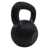 RHINO Fitness® Iron Kettlebell Series 45 lb RHINO Fitness Agility fitness kettlebell physical therapy Resistance Training