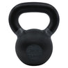 RHINO Fitness® Iron Kettlebell Series 30 lb RHINO Fitness Agility fitness kettlebell physical therapy Resistance Training