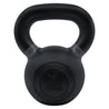 RHINO Fitness® Iron Kettlebell Series 30 lb RHINO Fitness Agility fitness kettlebell physical therapy Resistance Training