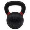 RHINO Fitness® Iron Kettlebell Series 40 lb RHINO Fitness fitness kettlebell Resistance Training